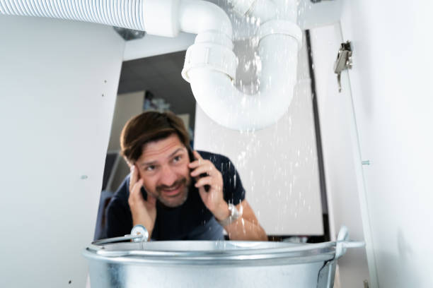 Best Plumbing Inspection Services  in Ellisburg, NJ