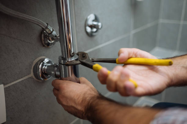 Best Affordable Plumber Near Me  in Ellisburg, NJ