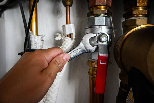 Best Plumbing Services Near Me  in Ellisburg, NJ